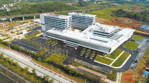 图文 瓜果飘香俏销市场
