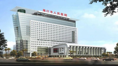 海南鼎大壹号城效果图 实景图 样板间