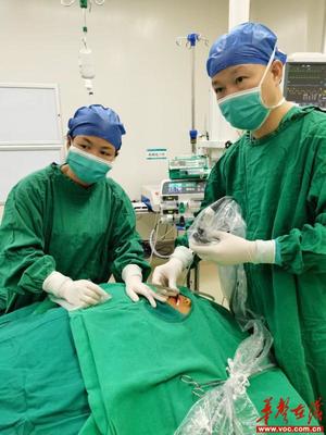 邵阳学院附属第二医院成功开展邵阳首例儿童鳃裂内瘘管切除封堵术