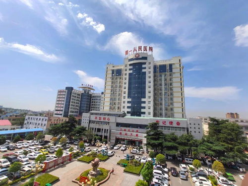 以人民为中心,以健康为根本 汝州市第一医疗健康服务集团深化改革纪实