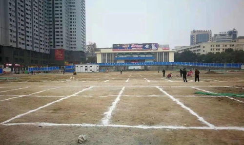 好消息 邵阳市区这里可以免费停车啦