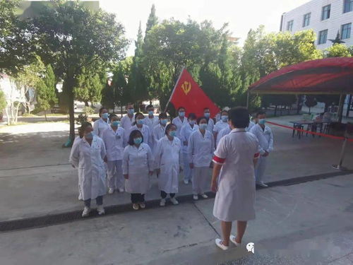 辛街乡培优树典 各领域党建色彩纷呈