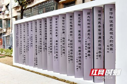 清廉春风入人心 邵阳市第二人民医院清廉文化公园正式开放