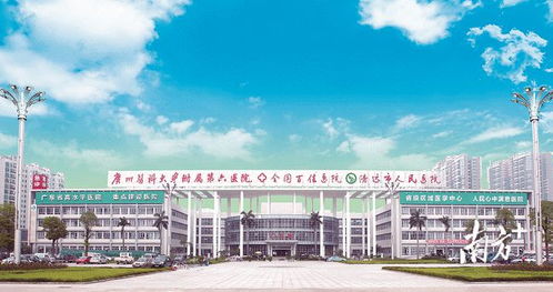 清远市人民医院 红色引擎 凝聚奋进动力,引领党建医疗同频共振