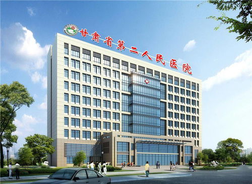 甘肃省第二人民医院项目可行性研究报告获批 效果图抢先看，经验或可借鉴邵阳市第二人民医院