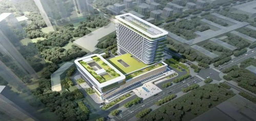 湾区医疗建设新典范 邵阳市第二人民医院改扩建项目的创新实践